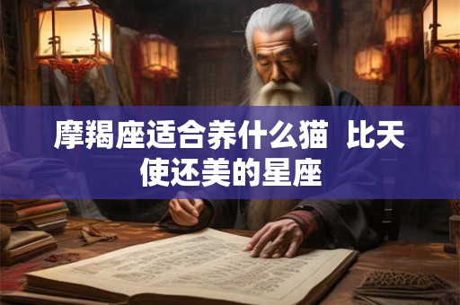 摩羯座适合养什么猫  比天使还美的星座