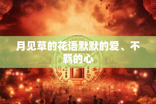 月见草的花语默默的爱、不羁的心