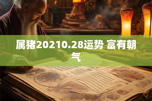 属猪20210.28运势 富有朝气