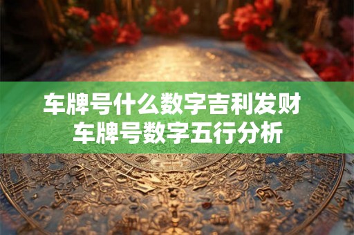 车牌号什么数字吉利发财  车牌号数字五行分析