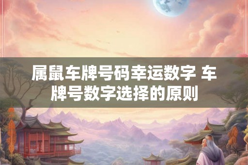 属鼠车牌号码幸运数字 车牌号数字选择的原则