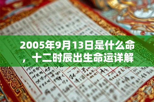 2005年9月13日是什么命，十二时辰出生命运详解