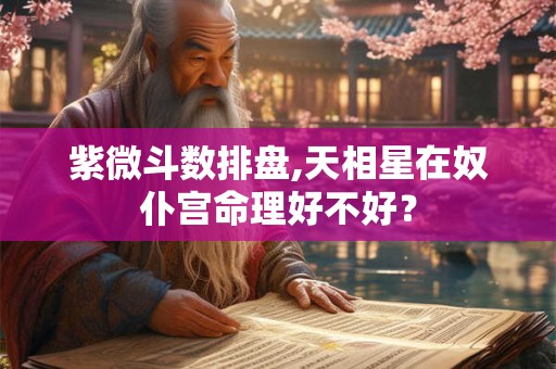 紫微斗数排盘,天相星在奴仆宫命理好不好？