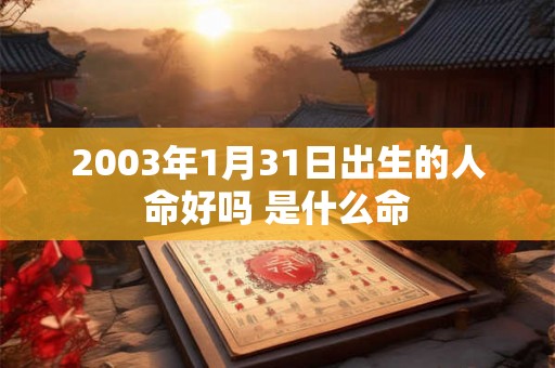 2003年1月31日出生的人命好吗 是什么命