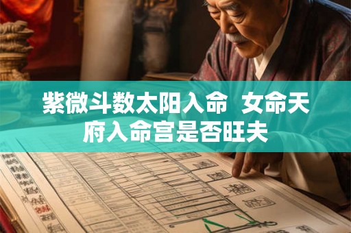紫微斗数太阳入命  女命天府入命宫是否旺夫