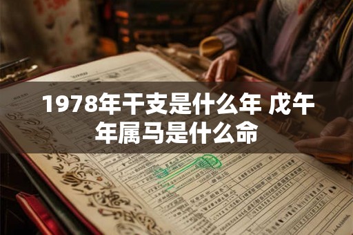 1978年干支是什么年 戊午年属马是什么命