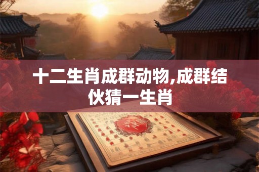 十二生肖成群动物,成群结伙猜一生肖