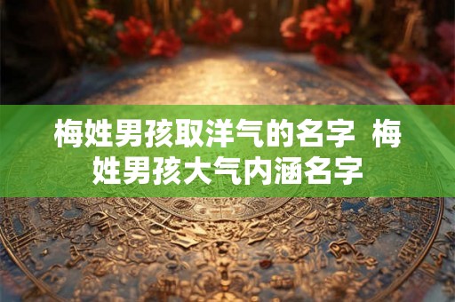 梅姓男孩取洋气的名字  梅姓男孩大气内涵名字