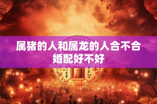 属猪的人和属龙的人合不合婚配好不好