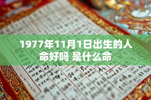 1977年11月1日出生的人命好吗 是什么命 1977年11月1日出生的人命好吗 是什么命