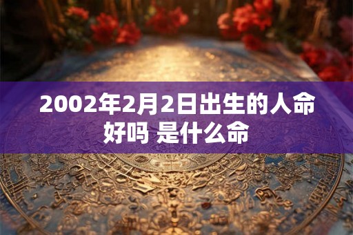 2002年2月2日出生的人命好吗 是什么命