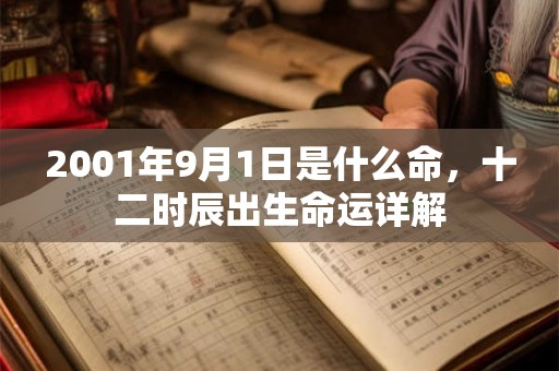 2001年9月1日是什么命，十二时辰出生命运详解