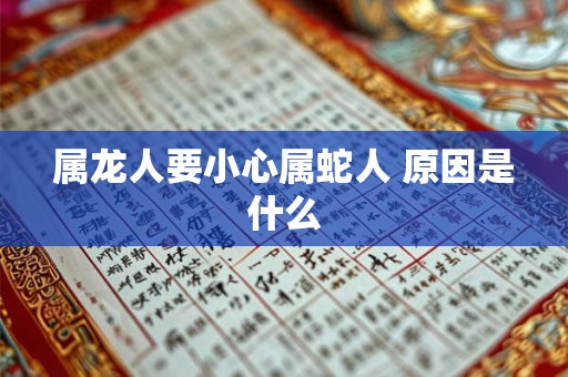 属龙人要小心属蛇人 原因是什么