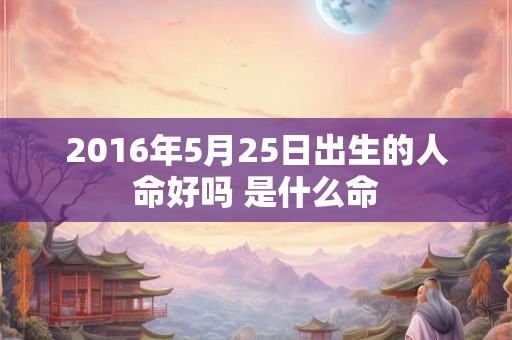 2016年5月25日出生的人命好吗 是什么命