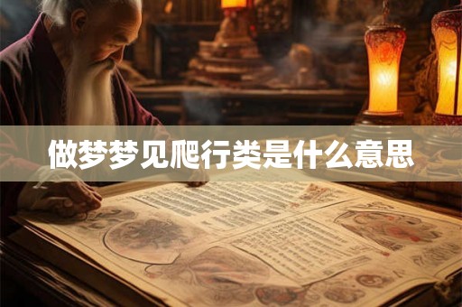 做梦梦见爬行类是什么意思
