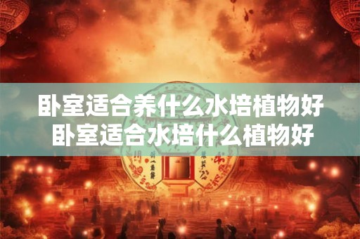 卧室适合养什么水培植物好 卧室适合水培什么植物好
