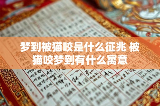 梦到被猫咬是什么征兆 被猫咬梦到有什么寓意