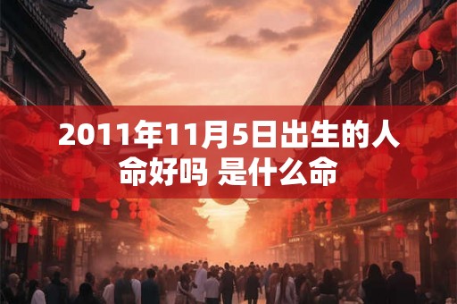2011年11月5日出生的人命好吗 是什么命