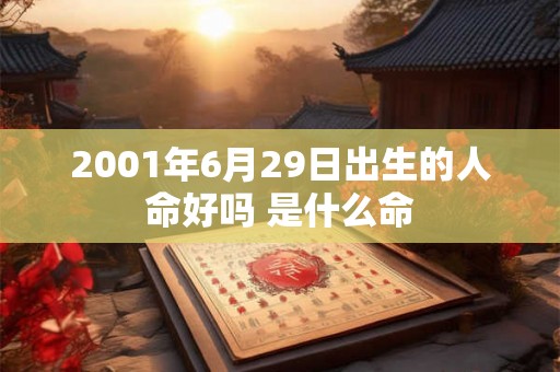 2001年6月29日出生的人命好吗 是什么命