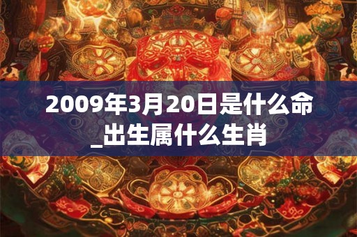 2009年3月20日是什么命_出生属什么生肖