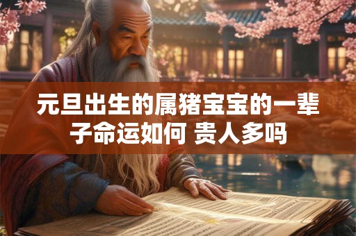 元旦出生的属猪宝宝的一辈子命运如何 贵人多吗