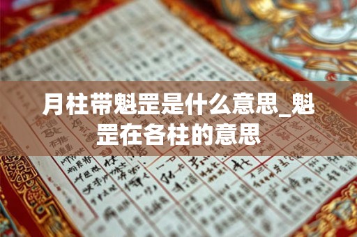 月柱带魁罡是什么意思_魁罡在各柱的意思