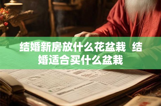结婚新房放什么花盆栽  结婚适合买什么盆栽