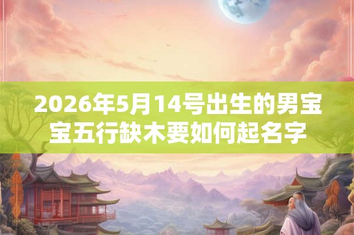 2026年5月14号出生的男宝宝五行缺木要如何起名字