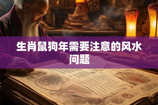生肖鼠狗年需要注意的风水问题