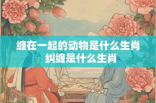 缠在一起的动物是什么生肖 纠缠是什么生肖 缠在一起的动物是什么生肖 纠缠是什么生肖