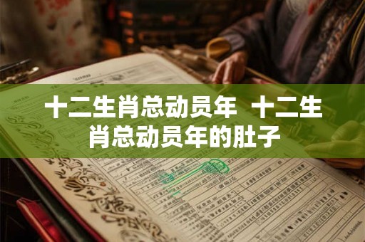 十二生肖总动员年 十二生肖总动员年的肚子 十二生肖总动员年 十二生肖总动员年的肚子