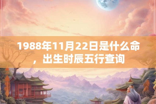 1988年11月22日是什么命，出生时辰五行查询
