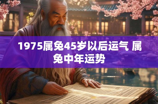 1975属兔45岁以后运气 属兔中年运势