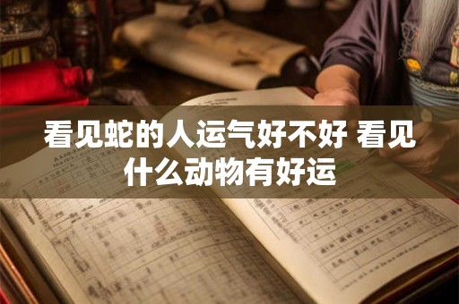 看见蛇的人运气好不好 看见什么动物有好运