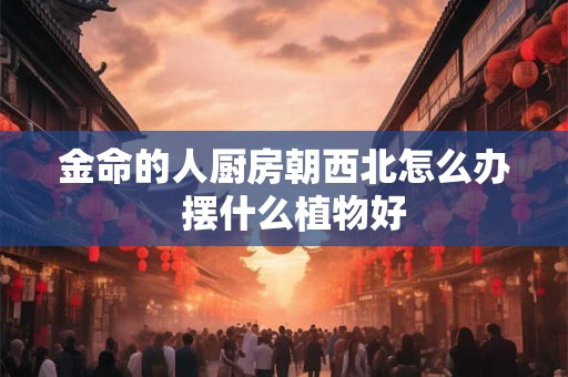 金命的人厨房朝西北怎么办  摆什么植物好