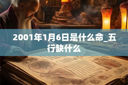 2001年1月6日是什么命_五行缺什么