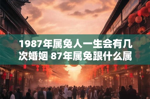 1987年属兔人一生会有几次婚姻 87年属兔跟什么属相般配 1987年属兔人一生会有几次婚姻 87年属兔跟什么属相般配