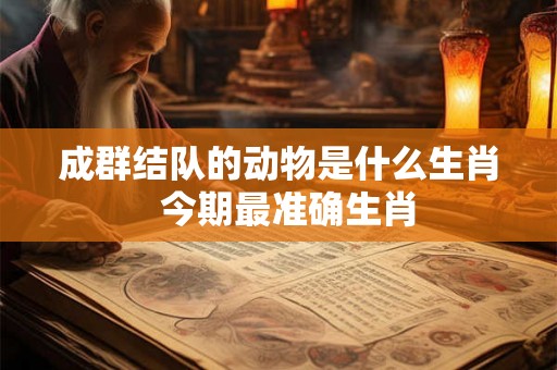 成群结队的动物是什么生肖  今期最准确生肖