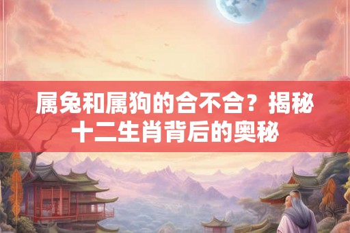 属兔和属狗的合不合？揭秘十二生肖背后的奥秘