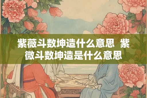 紫薇斗数坤造什么意思  紫微斗数坤造是什么意思