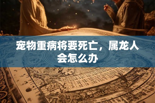 宠物重病将要死亡,属龙人会怎么办 宠物重病将要死亡,属龙人会怎么办