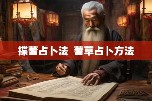 揲蓍占卜法  蓍草占卜方法