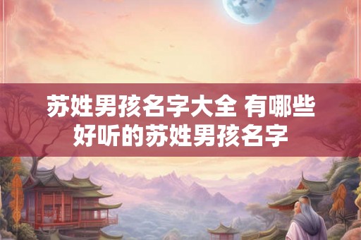 苏姓男孩名字大全 有哪些好听的苏姓男孩名字