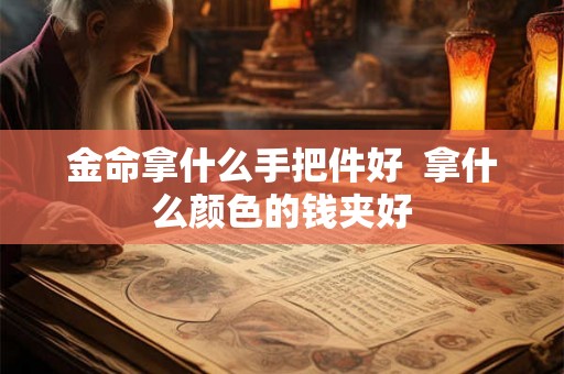 金命拿什么手把件好  拿什么颜色的钱夹好