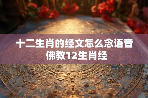 十二生肖的经文怎么念语音  佛教12生肖经