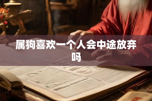 属狗喜欢一个人会中途放弃吗