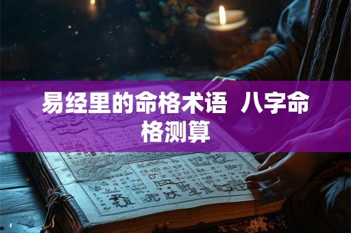 易经里的命格术语  八字命格测算