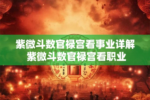 紫微斗数官禄宫看事业详解 紫微斗数官禄宫看职业 紫微斗数官禄宫看事业详解 紫微斗数官禄宫看职业
