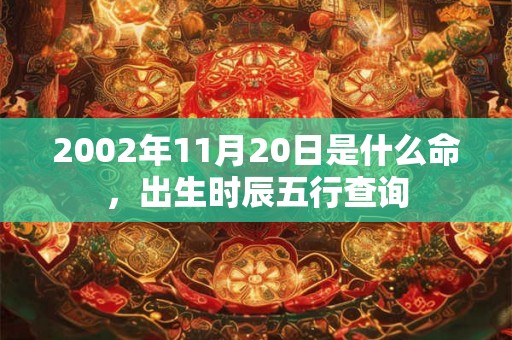 2002年11月20日是什么命，出生时辰五行查询
