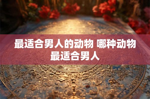 最适合男人的动物 哪种动物最适合男人
